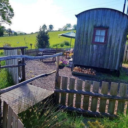 Eco Accommodation Cornflower Holiday Craven Arms Ngoại thất bức ảnh