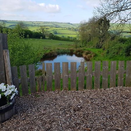 Eco Accommodation Cornflower Holiday Craven Arms Ngoại thất bức ảnh