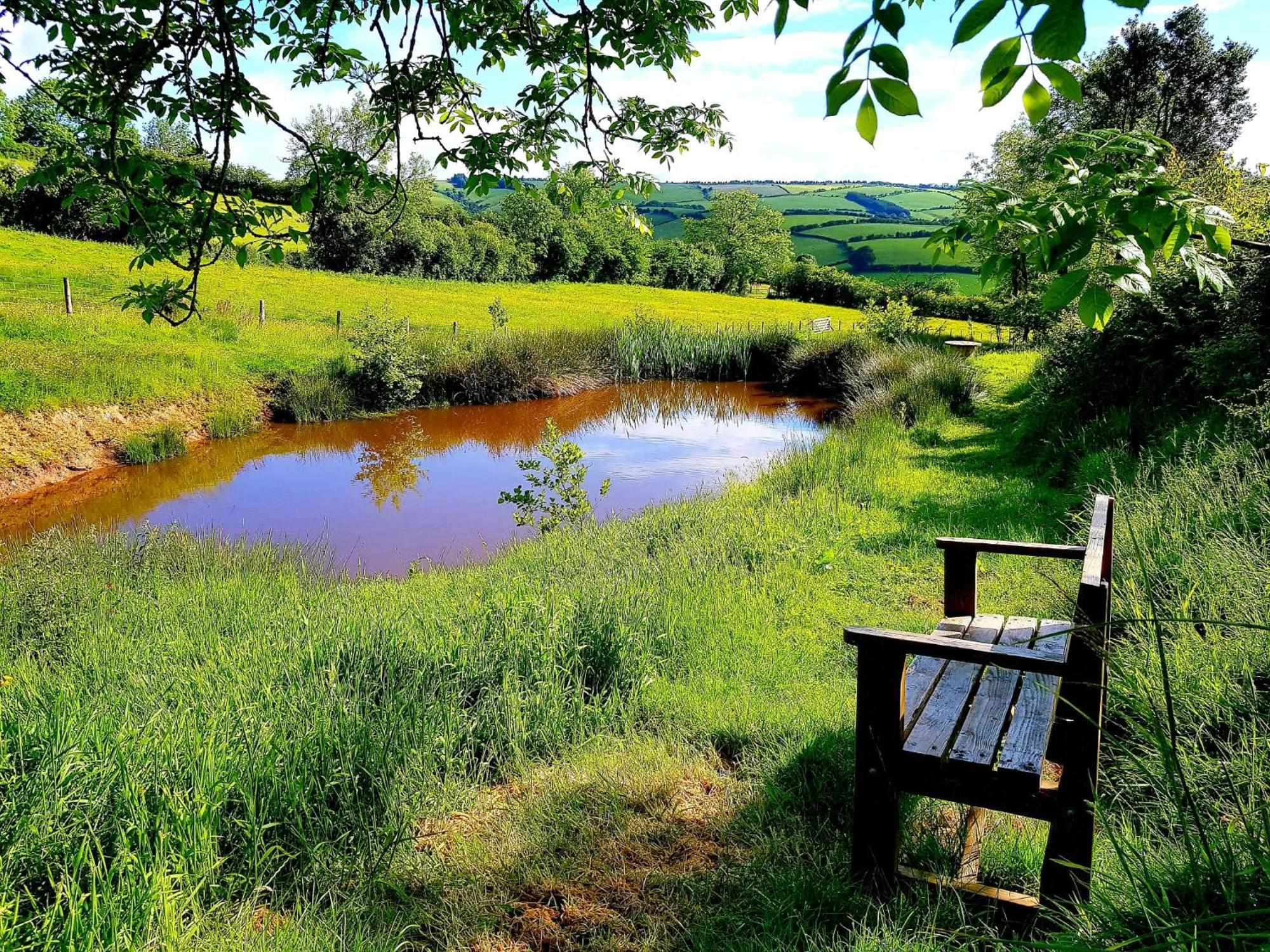 Eco Accommodation Cornflower Holiday Craven Arms Ngoại thất bức ảnh