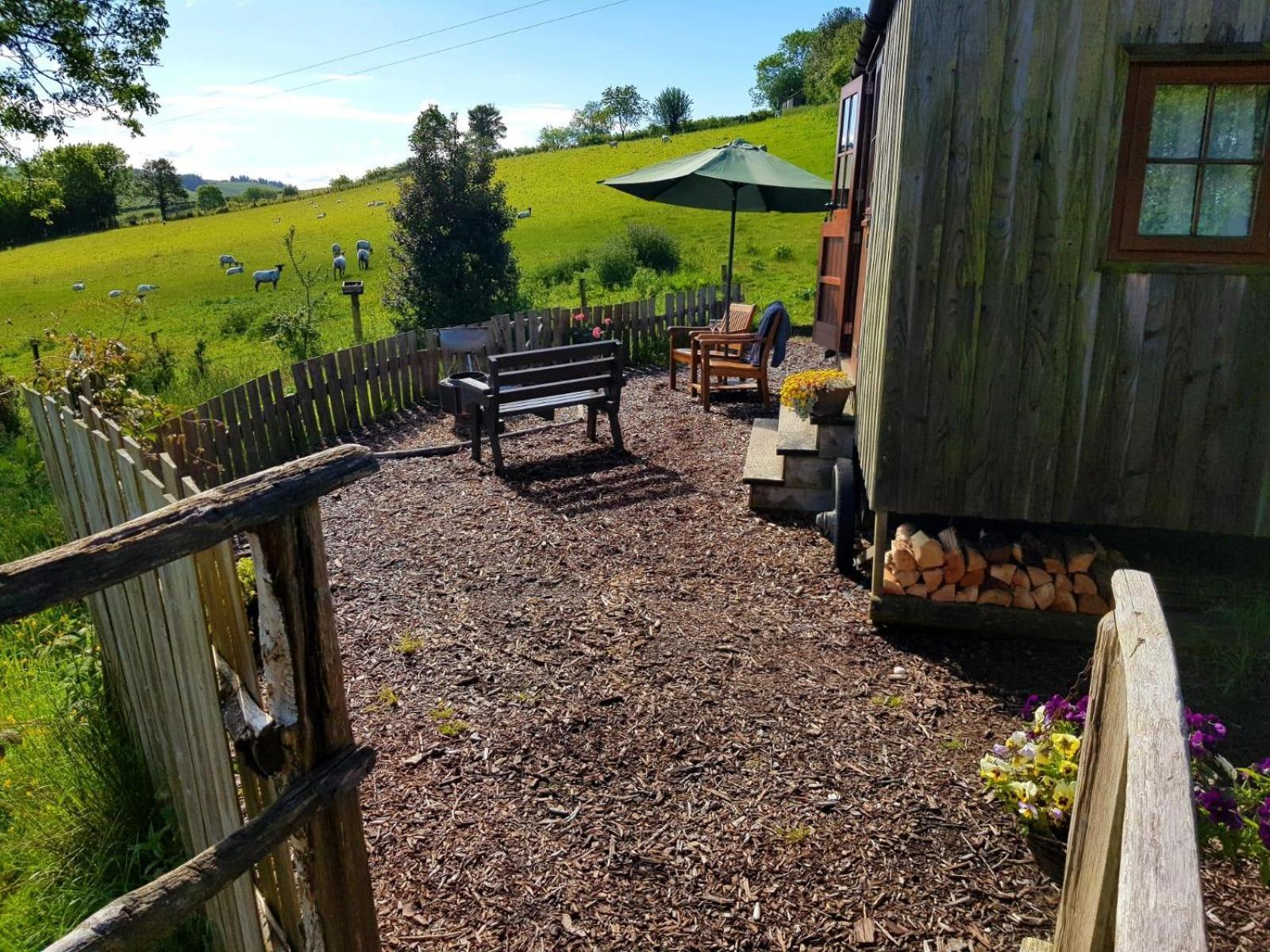 Eco Accommodation Cornflower Holiday Craven Arms Ngoại thất bức ảnh